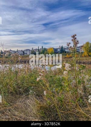 Im Vordergrund blühen Wildblumen mit einem ruhigen See, der den Himmel reflektiert. Im Hintergrund schmiegen sich bunte Bäume und Häuser an den sanften Hügel Stockfoto