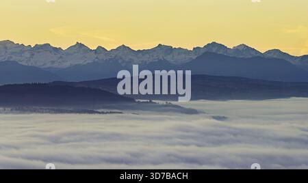 Blick von der Gisiflue über das Nebelmeer, mit den schneebedeckten Zentralschweizer Alpen im Morgenlicht, Talheim, Kanton, Aargau, Schweiz Stockfoto