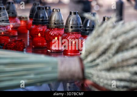 Gedenkkerzen zum Gedenken an die Opfer des Holodomors 1932–1933 und der künstlichen Hungersnöte von 1921–1923 und 1946–1947 werden am 22. November 2025 im Holodomor-Denkmal in Odesa (Ukraine) ausgestellt (Foto: Nina Liashonok/Ukrinform) Stockfoto