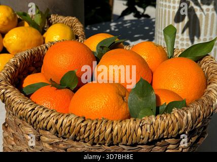 Orangen Früchte im Korb Stockfoto