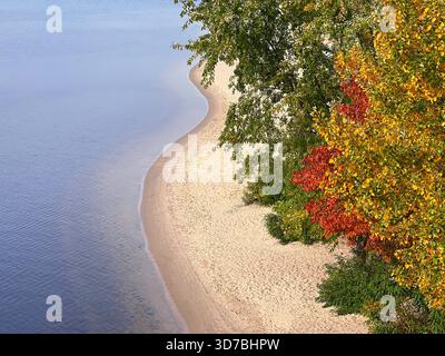 Autumn forest trees yellow red green foliage on river bank Stockfoto