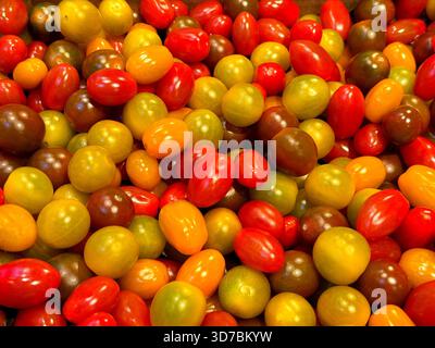 Tomaten Kirschtomaten Variation Mischung rot grün gelb Stockfoto