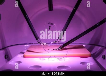 Zagreb, Kroatien. November 2025. Die "Woche für chirurgische Robotik" findet an der Kroatischen Katholischen Universität statt. Das robotische Operationssystem DaVinci X wurde am 24. November im Rahmen des Programms in Zagreb, Kroatien, vorgestellt. 2025. Foto: Robert Anic/PIXSELL Credit: Pixsell/Alamy Live News Stockfoto