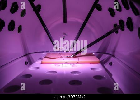 Zagreb, Kroatien. November 2025. Die "Woche für chirurgische Robotik" findet an der Kroatischen Katholischen Universität statt. Das robotische Operationssystem DaVinci X wurde am 24. November im Rahmen des Programms in Zagreb, Kroatien, vorgestellt. 2025. Foto: Robert Anic/PIXSELL Credit: Pixsell/Alamy Live News Stockfoto