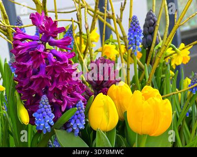 Frühlingsstrauß aus Hyazinthen, Tulpen, Narzissen Blumen Stockfoto