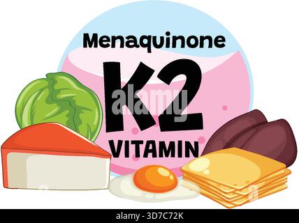 Colorful vector of vitamin K2 foods including cheese, egg, liver, leafy greens, and text Stock Vektor