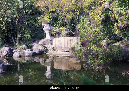 Ruhiger Zen-Garten mit einer traditionellen Steinlaterne neben einem ruhigen Teich, umgeben von üppigem Grün, lila Blumen, Felsen und sanften Reflektionen Stockfoto
