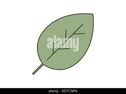 Grünes Blattsymbol, Illustration des flachen Vektors. Stock Vektor