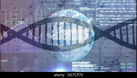 DNA-Doppelhelix und -Globus, die sich über das Daten-Dashboard erstrecken, mit Ticker und Diagrammen. Genomik, Biotechnologie, Molekular, Visualisierung, Analyse Stockfoto