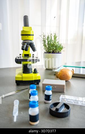 Mikroskop- und Wissenschaftskit mit Objektträgern, Pinzetten und vorbereiteten chemischen Proben auf einem Tisch. Lehrmittel für Kinderexperimente in der Biologie Stockfoto