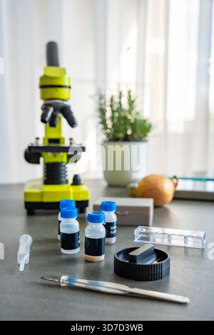 Mikroskop- und Wissenschaftskit mit Objektträgern, Pinzetten und vorbereiteten chemischen Proben auf einem Tisch. Lehrmittel für Kinderexperimente in der Biologie Stockfoto