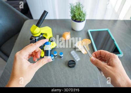 Eine Person hält eine Zwiebelschale mit einer Pinzette kleine Probe, bevor sie unter einem Mikroskop untersucht wird, mit mehr wissenschaftlichen Vorräten auf dem Tisch. Konzept von Stockfoto