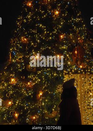 Silhouette Einer Frau, Die Einen Beleuchteten Weihnachtsbaum Mit Festlichen Lichtern Bei Nacht Betrachtet Stockfoto