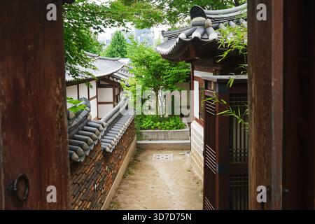 Unbefestigter Pfad, der durch einen Eingang zu einem traditionellen koreanischen hanok-Stil Haus führt, umgeben von grünem Laub Stockfoto