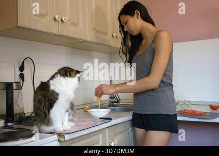 Indische Frau in lässigem Tank und Shorts steht an der einfachen Küchentheke und knackt Ei in Schüssel. Eine große flauschige Katze sitzt auf einem Handtuch neben ihr. Sichtbare s Stockfoto