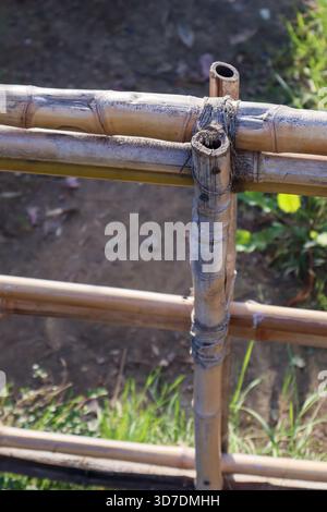 Nahaufnahme eines rustikalen Bambuszauns, der aus verflochtenen Stangen auf Erdboden mit grünen Sprossen gebaut wurde. Stockfoto