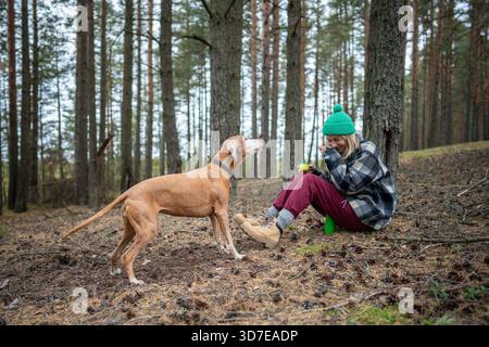 Lächelnde Frau schlürft warmen Tee, der neben einem Baum sitzt, während Vizsla-Hund bellt und den Besitzer ansieht. Glückliche Wanderer halten in der Natur, spazieren und spielen mit Haustieren, Waldausruhen, Verhalten der Tiere nachfragen || Model veröffentlicht Stockfoto