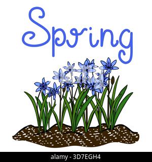 Bezaubernde Vektor-Illustration der zarten blauen scilla-Blumen, die im Boden blühen, mit dem Wort 'Frühling' in elegantem blauem Schriftzug geschrieben. Stock Vektor