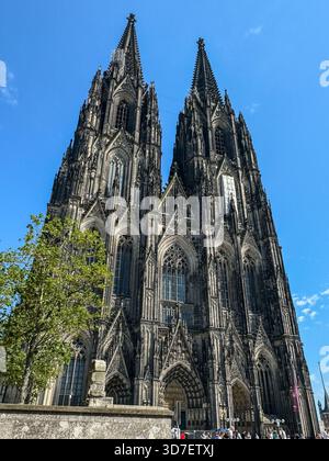 Blick von innen und außen auf den Kölner Dom, einschließlich gotischer Gewölbe, Buntglas, Türme und Kirchenschiff, in Köln, Deutschland. Stockfoto