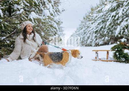 Lächelnde junge Frau spielt mit ihrem Beagle an der Leine in einem verschneiten Wald, während Schnee fliegt, Schlitten und immergrüner Kranz Urlaubsstimmung schaffen Stockfoto