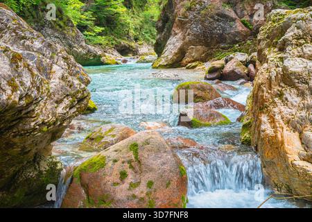 Türkisfarbener Slizza-Fluss, der durch kleine Wasserfälle in einer felsigen Schlucht der Julischen Alpen, Italien, kaskadiert Stockfoto