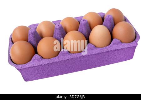 Nahaufnahme von braunen Hühnereiern, angeordnet in einem leuchtenden violetten Karton auf einem sauberen weißen Hintergrund. Stockfoto