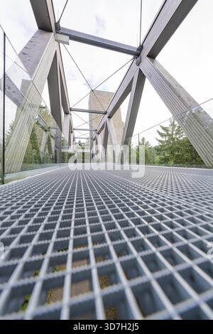 Moderne Stahlbrücke fotografiert von unten, Wald im Hintergrund, Ruhestein National Park Center, Schwarzwald, Baiersbronn, Deutschland Stockfoto