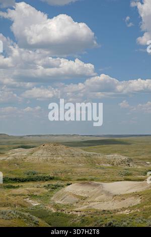 Badlands Landschaft im Grasslands National Park East Block, Saskatchewan, Kanada Stockfoto