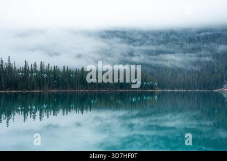 Nebel hängt über einem See mit immergrünen Bäumen, die sich im stillen Wasser spiegeln. Emerald Lake, BC Stockfoto