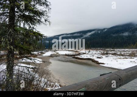 Winterszene mit einem Bach, der durch eine schneebedeckte Sumpflandschaft fließt. Emerald Lake, BC Stockfoto