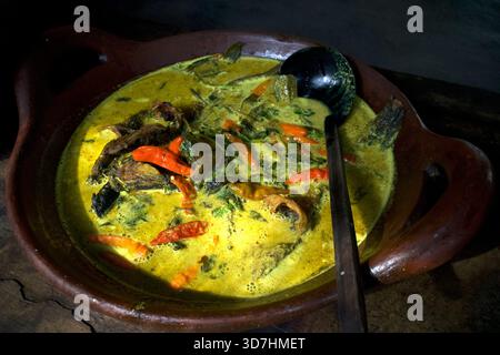 Mangut Lele, leckerer Wels-Eintopf mit gelber Sauce, scharfes Wels-Curry mit Kokosmilch auf einer Tonpfanne. Stockfoto