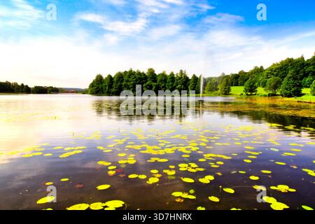 Schöner Mustionjoki Fluss im Sommer mit Seerosenblättern auf der ruhigen Oberfläche des Wassers. Kraftwerk Peltokoski weit am Horizont. Juni 20 Stockfoto