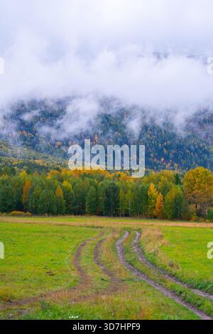 Grüne Wiese mit markanten Reifenspuren, die sich über das Feld schlängeln und zu einem gemischten Herbstwald und Bergen mit tief hängenden Wolken und Nebel führen. Stockfoto