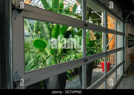 Der üppige botanische Garten blickt durch die Glastür der Garage. Hamilton, ON Stockfoto