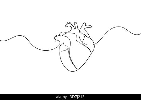 Menschliches Herz eine Linie Kunst einfache kontinuierliche anatomische Umrisse medizinisches Symbol Stock Vektor