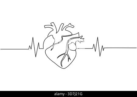 Menschliches Herz eine Linie Kunst einfache kontinuierliche anatomische Umrisse medizinisches Symbol Stock Vektor