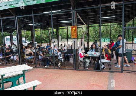 Leute in einem Käfig essen Mittagessen in Iguazu Falls, Argentinien. Schutz vor Coatis stehlendem Essen. Stockfoto