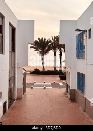Moderner Fußweg, der zu einem Strand führt, der bei Sonnenuntergang in Agadir von Palmen gesäumt ist Stockfoto