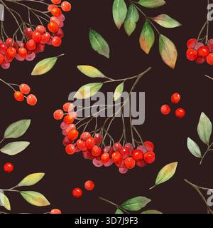 Rowan Beeren Cluster und hinterlässt Aquarellmuster auf dunklem Hintergrund. Herbst Natur handgezeichnete ClipArt. Realistische Zeichnung für natürliches Design Stockfoto