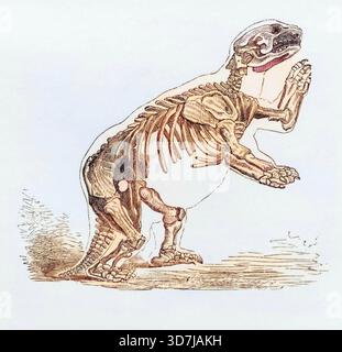 Skelett von Mylodon Darwinii aus dem Buch Journal of Researches von Charles Darwin, auch bekannt als Darwins Journal of A Voyage Around the World, ve Stockfoto