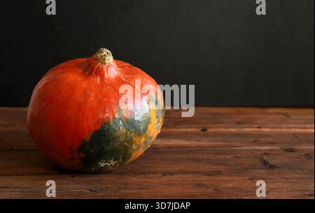 Ganzer essbarer Kürbis isoliert auf einem Holztisch, schwarzer Hintergrund. Hokkaido Kürbis. Gesundes, vegetarisches Essen. Erntezeit, Herbstferien. Stockfoto