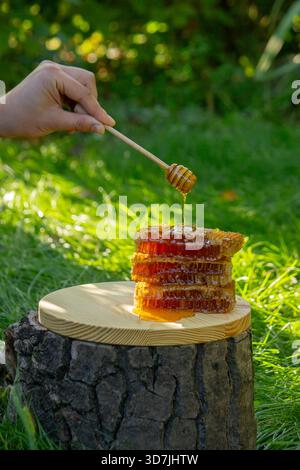 Natürlicher Honig tropft im Sonnenlicht aus einem Pendelbecken auf einen Stapel Waben. Stockfoto