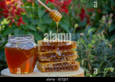 Natürlicher Honig tropft im Sonnenlicht aus einem Pendelbecken auf einen Stapel Waben. Stockfoto