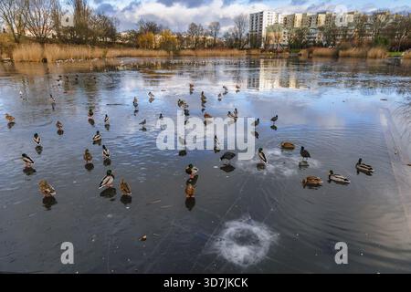 Tongrubenteich im Szczesliwicki Park im Stadtteil Ochota in Warschau, der Hauptstadt Polens Stockfoto
