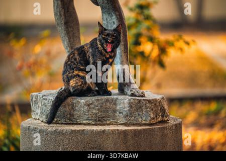 Eine Katze sitzt auf einer Statue und macht ein lautes Geräusch. Die Statue ist aus Stein und befindet sich in einem Park. Die Katze scheint ihre Zeit zu genießen Stockfoto
