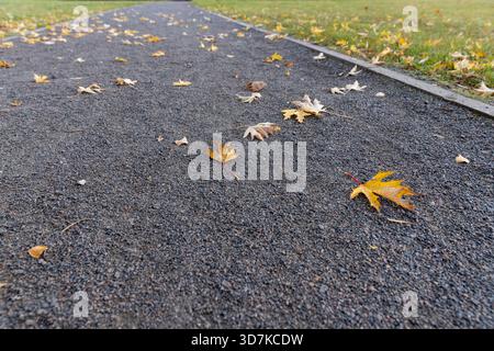 Ein Wanderweg aus Stein und Schutt mit gelbem Laub von Bäumen im Herbst, schönes gelbes Laub, das auf einem Wanderweg im Park gefallen ist Stockfoto
