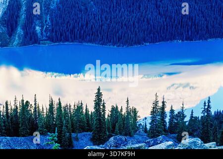 Fichtenwald an einem Bergsee mit Wasserreflexionen Stockfoto