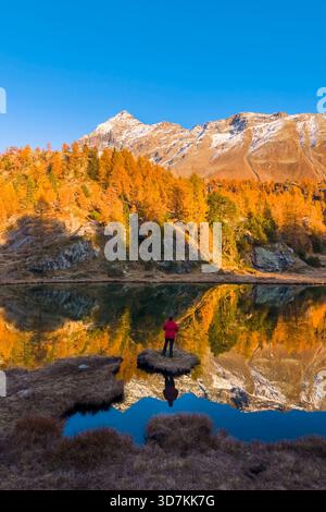 Blick aus der Vogelperspektive auf den See Mufule und Pizzo Scalino, umgeben von Lärchen im Herbst. Valmalenco, Valtellina, Sondrio, Lombardei, Italien, Europa. Stockfoto