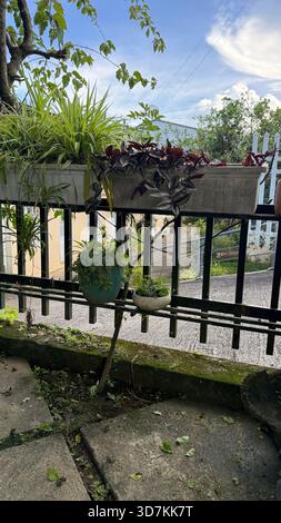 Balkongarten mit verschiedenen Topfpflanzen und Blue Sky. Stockfoto