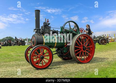 Davey Paxman Traction Engine Number 16849 baute 1911 Registration AF 3373 „Little Audrey“ auf der Smallwood Vintage Rally, Sandbach, Cheshire, England, Großbritannien Stockfoto